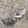 Earrings - Ginkgo - Ginkgo leaf - Hanging earrings
