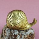 Snail in brass - figure - deco - animal