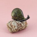 Schnecke in Messing - Figur - Deko - Tier