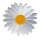 Aufnäher - Gänseblümchen - Blüte - weiß - Patch