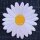 Aufnäher - Gänseblümchen - Blüte - weiß - Patch