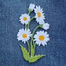Patch - Daisy - plant - white - Patch