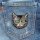 Patch - Cat head - eyes green - patch