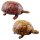 Tin toy - collectable toys - Turtle