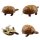 Tin toy - collectable toys - Turtle