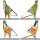 Tin toy - collectable toys - Whistling Sparrow
