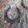 Ohrringe Metall Muster02 Hängeohrringe Modeschmuck Boho Ethno