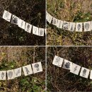 Prayer Flag forest motifs paper 4.33x4.33 inch nature Flag chain garland