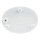 Snow dome snow globe shaking ball white elephants palm trees
