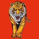 Patch tiger orange embroidered patch
