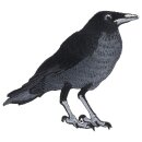 Aufnäher Krähe Rabe Vogel Patch