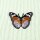 Patch - Butterfly - yellow-white-black