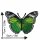 Patch - Butterfly - green-black-white