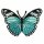 Patch - Butterfly - turquoise-black-white