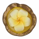 Scented candle in a coconut shell - Hibiscus - yellow