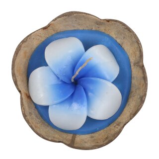 Scented candle in a coconut shell - Hibiscus - blue