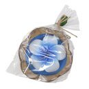 Scented candle in a coconut shell - Hibiscus - blue