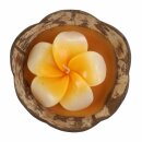 Scented candle in a coconut shell - Hibiscus - orange