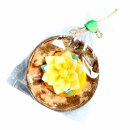 Scented candle in a coconut shell - Lotus - yellow