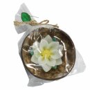 Scented candle in a coconut shell - Lotus - white