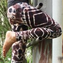 Leggings - Batik - Diamond - braun - schwarz - weiß
