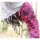 Leggings - Batik - Landscape - black - pink