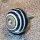 Ceramic door knob shabby chic - Stripes - black-white