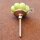 Ceramic door knob shabby chic Rosette - unicolour - green - silver